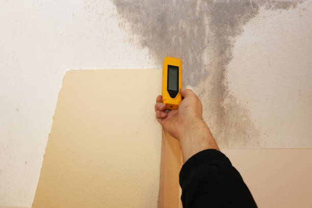 Best Mold Removal for HVAC Installations  in South Congaree, SC