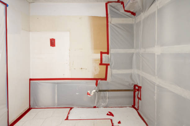 Best Comprehensive Air Testing for Mold Contaminants  in South Congaree, SC