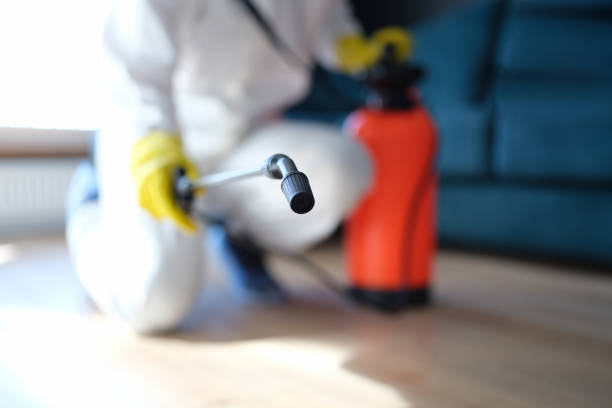 Best Mold Prevention Services  in South Congaree, SC