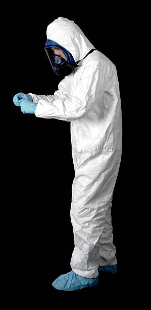Best Basement Mold Removal  in South Congaree, SC